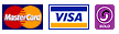 an image of the visa logo